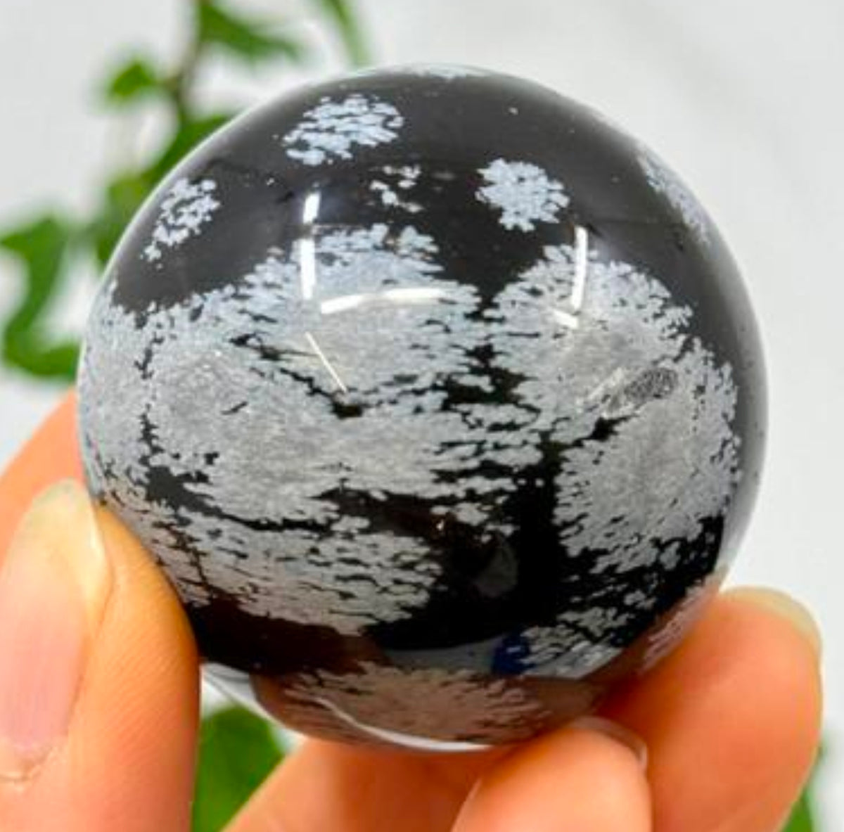 Snowflake Obsidian