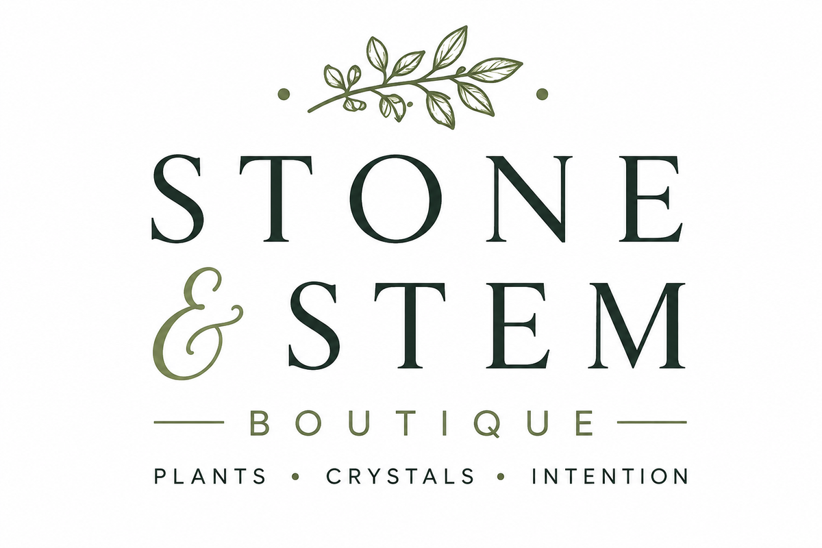 Stone & Stem Boutique