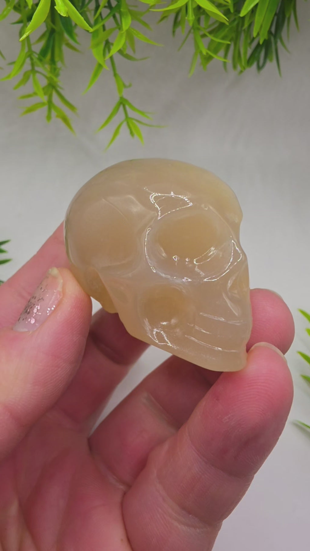 Druzy Agate Skulls