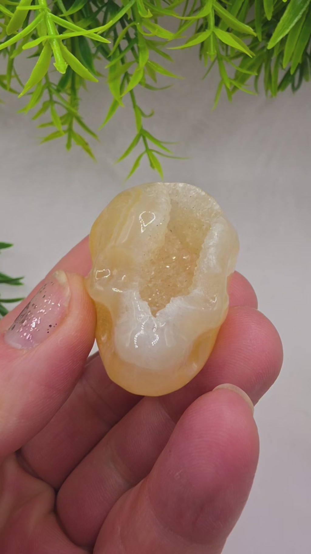 Druzy Agate Skulls