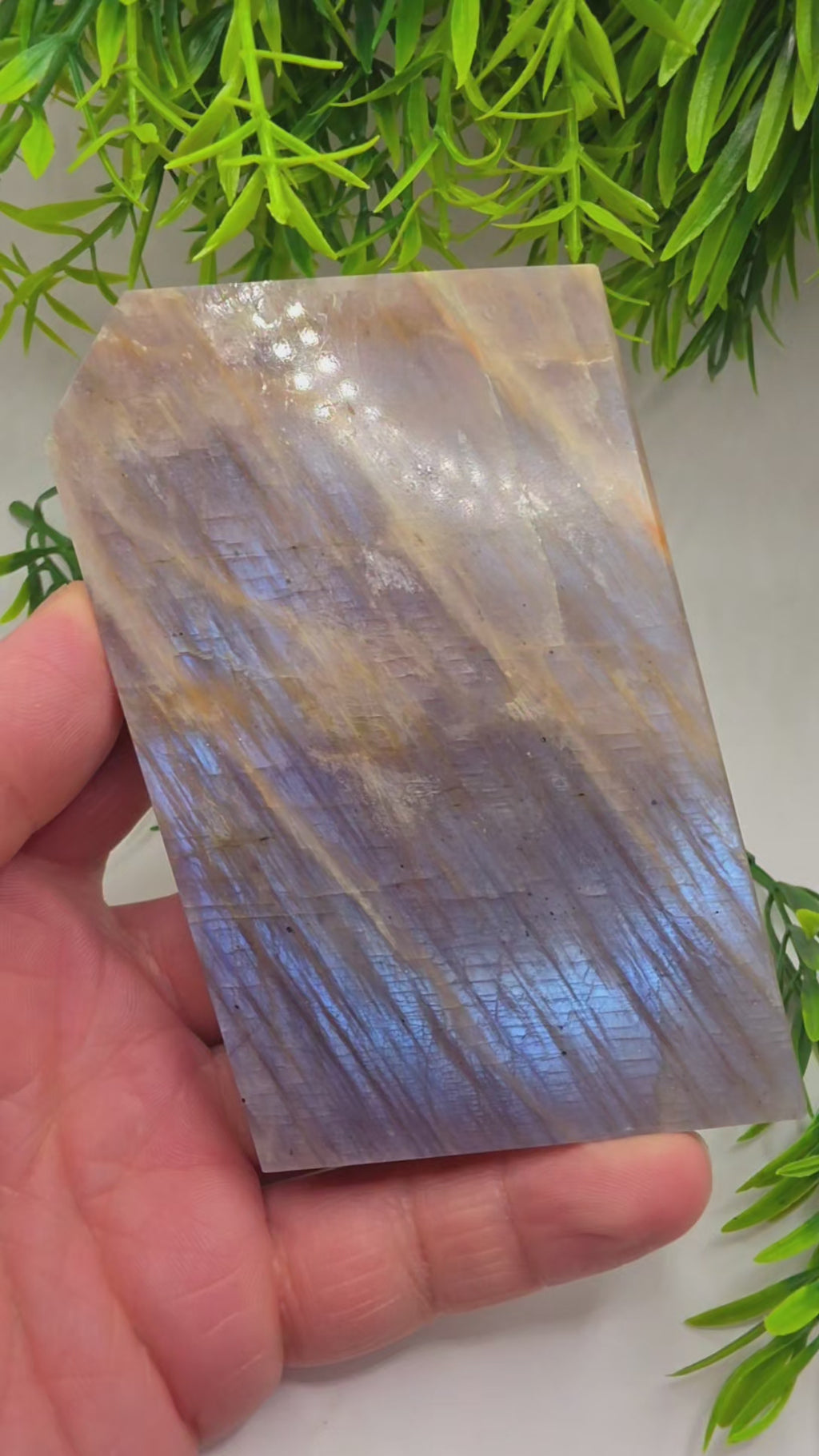 Moonstone Slabs