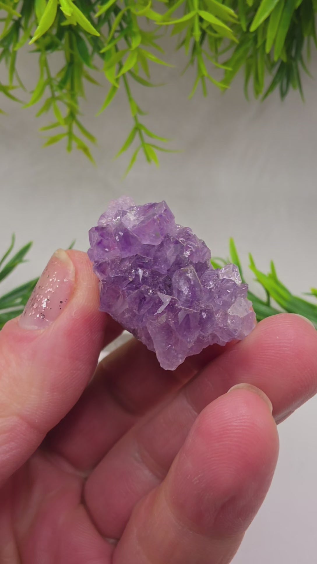 Amethyst Mini Clusters