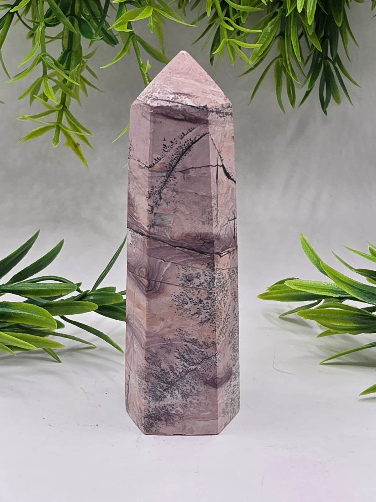Picture Jasper