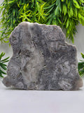 Mexican Agate Slab - C