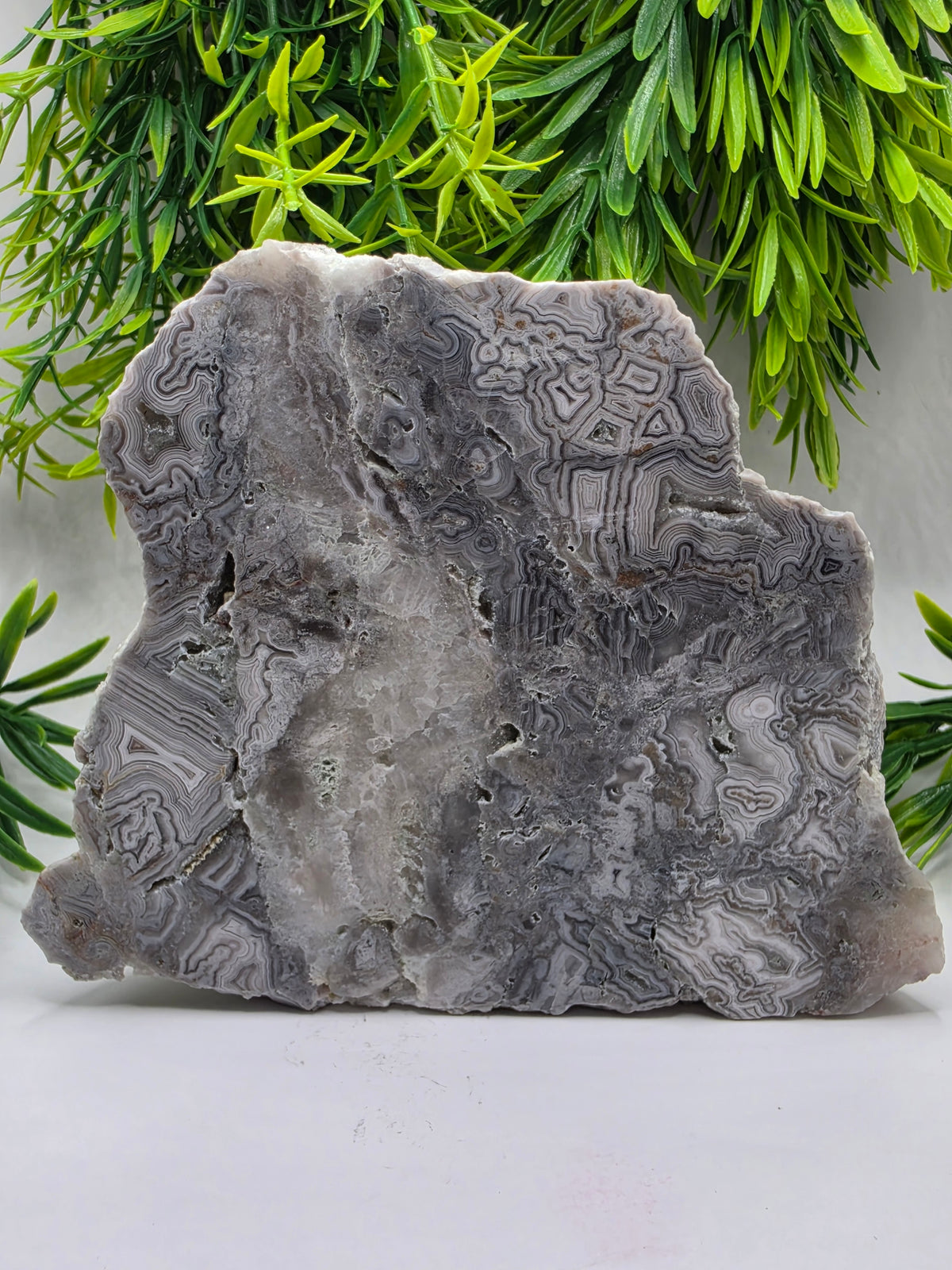 Mexican Agate Slab - C