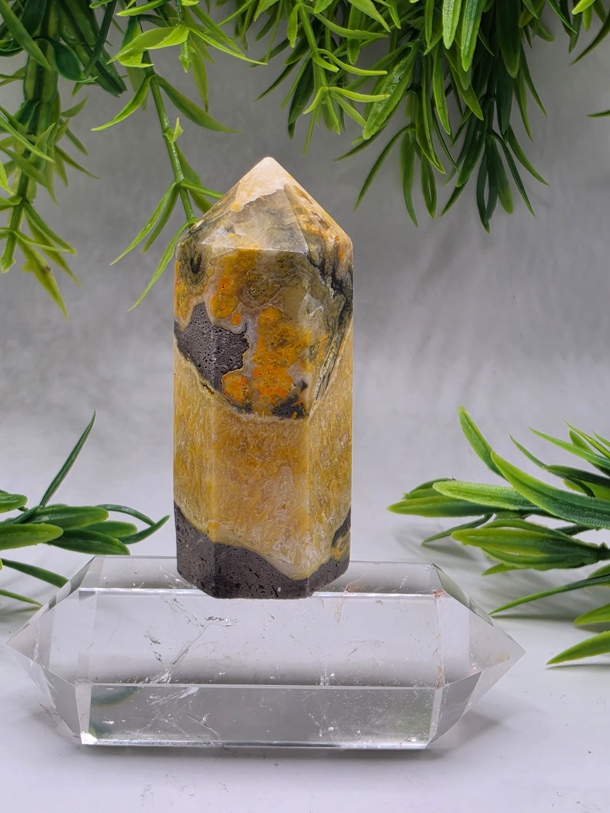 Bumblebee Jasper Points