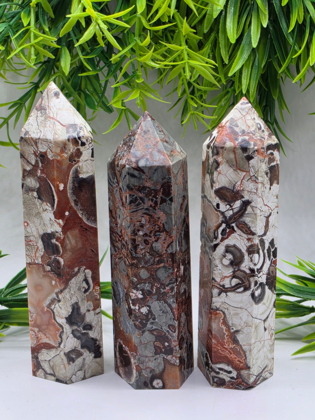 Money Agate Points