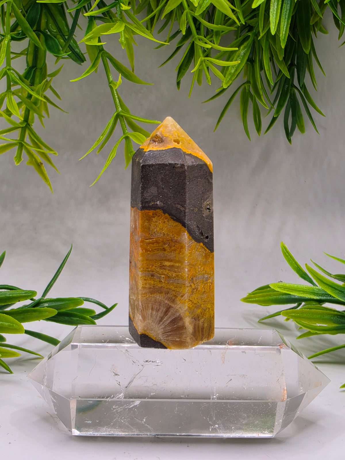 Bumblebee Jasper Points