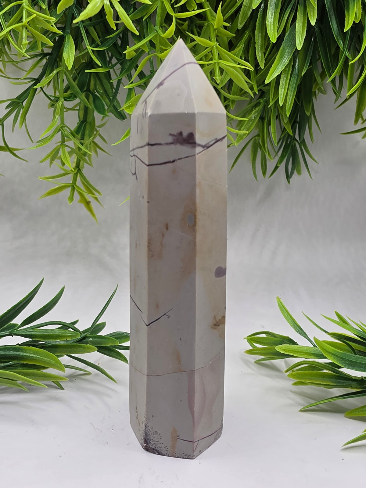 Picture Jasper