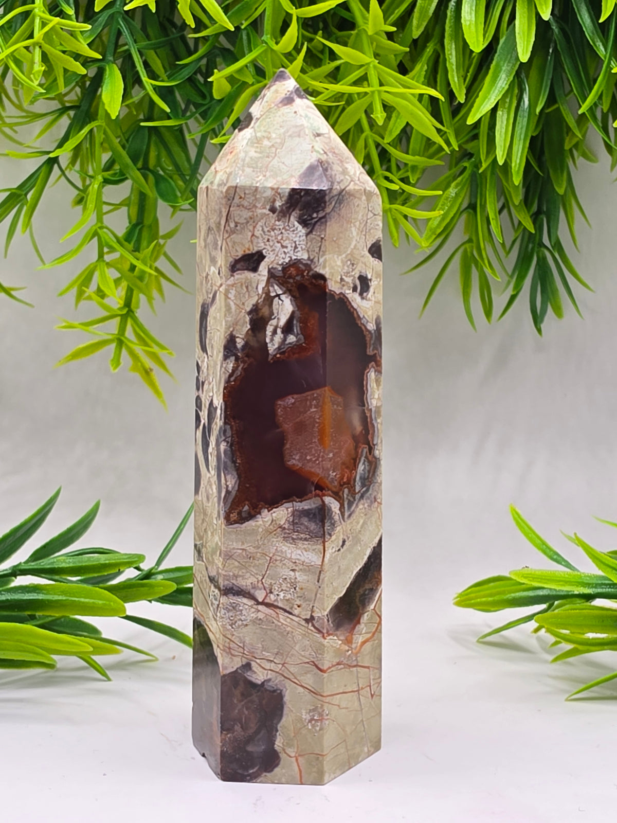 Money Agate Points