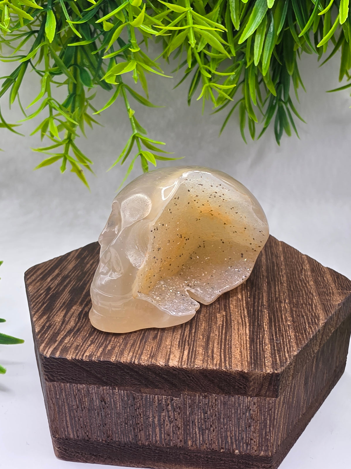 Druzy Agate Skulls