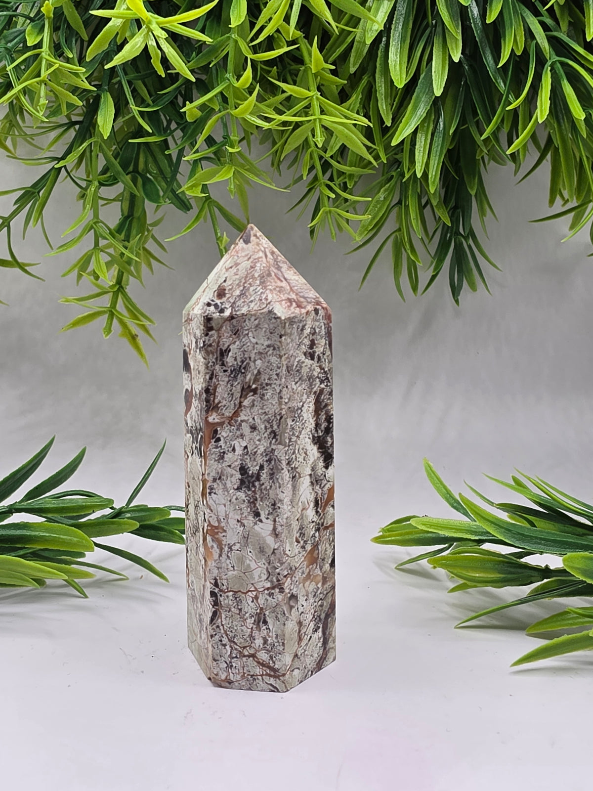 Money Agate Points