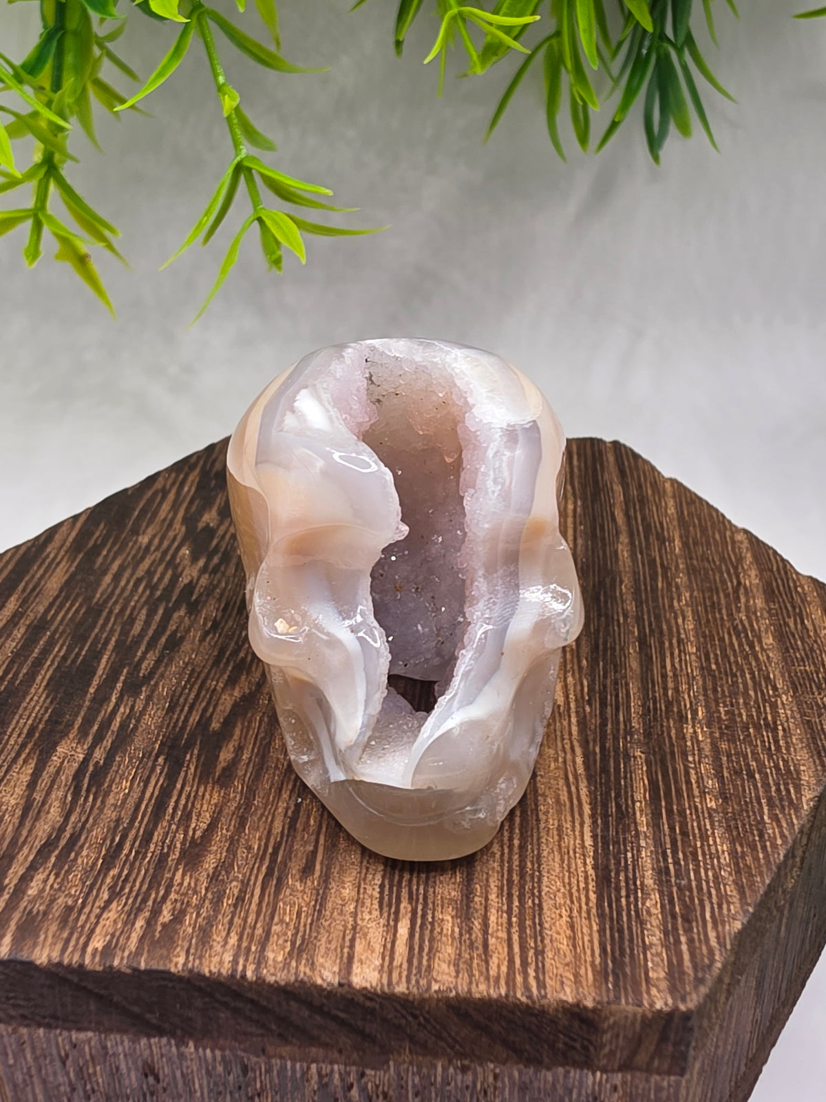Druzy Agate Skulls