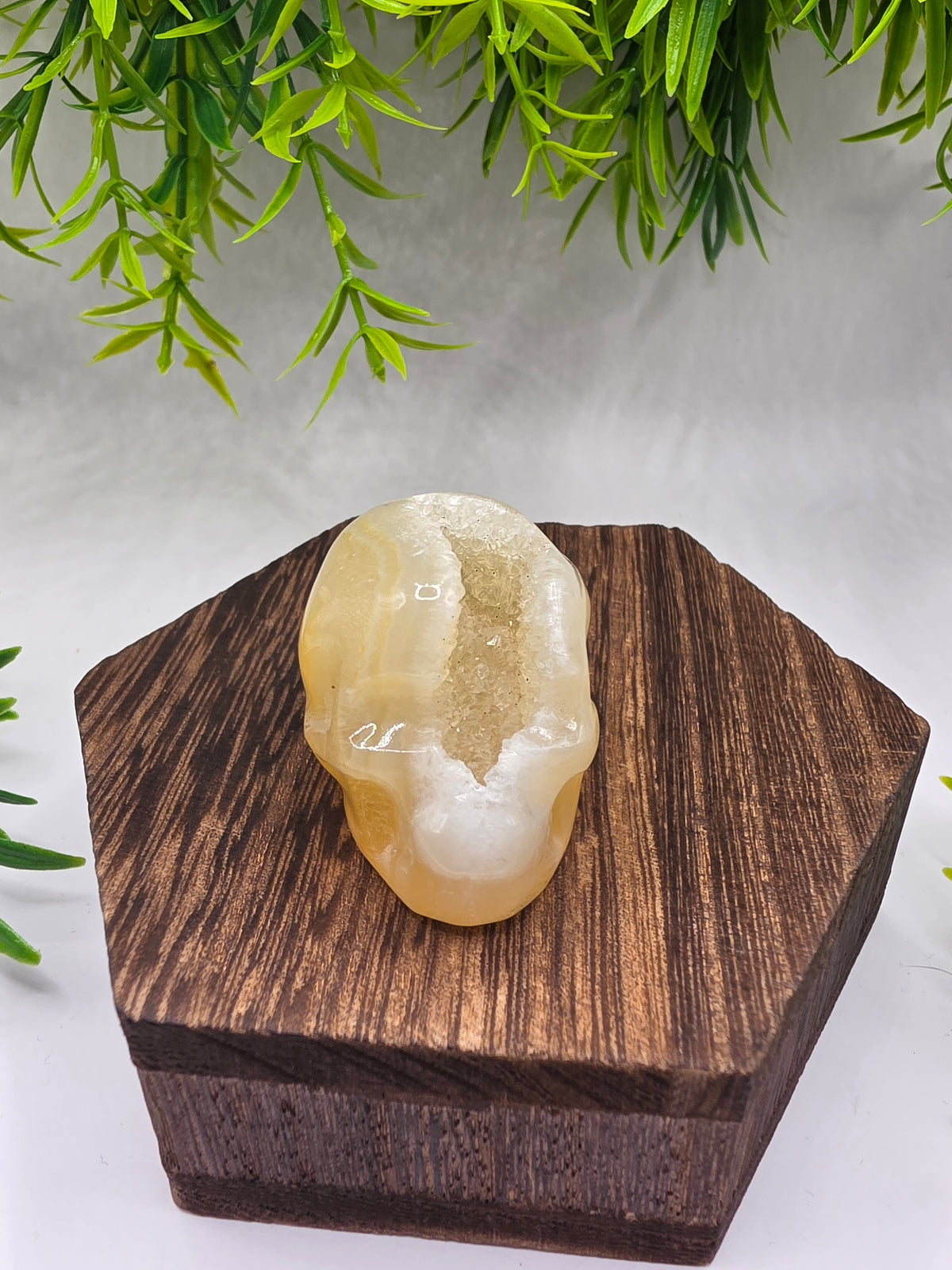 Druzy Agate Skulls
