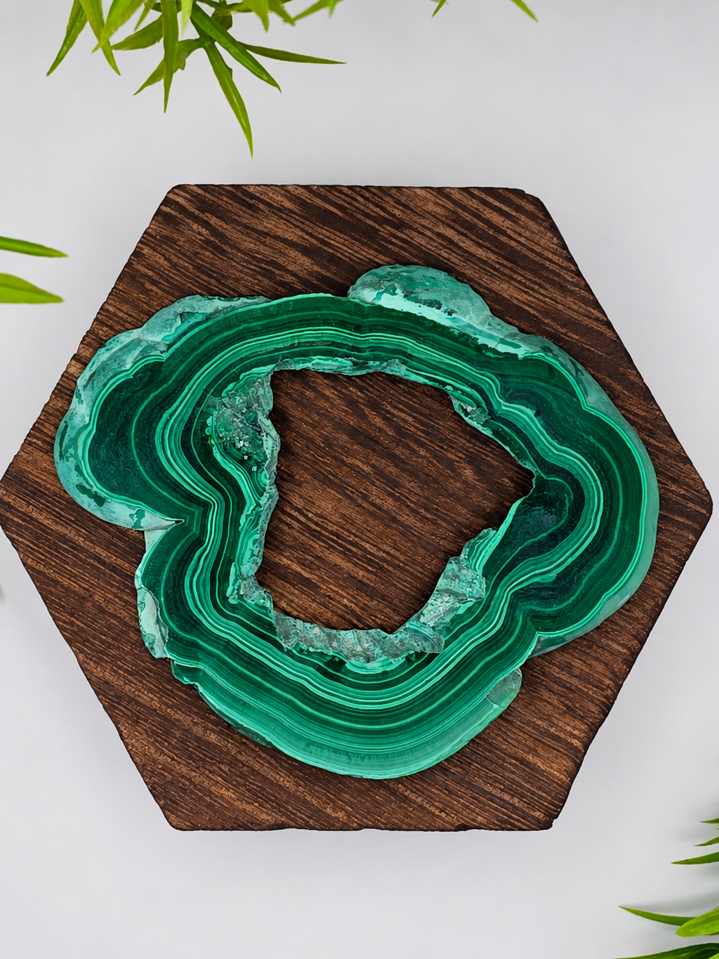Malachite Ring Slab