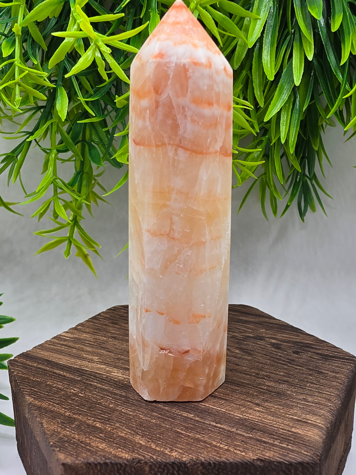 Pork Stone