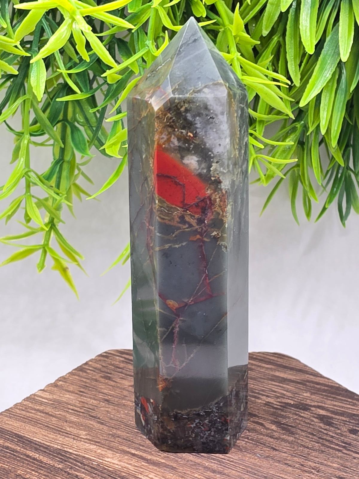 Africian Bloodstone Points