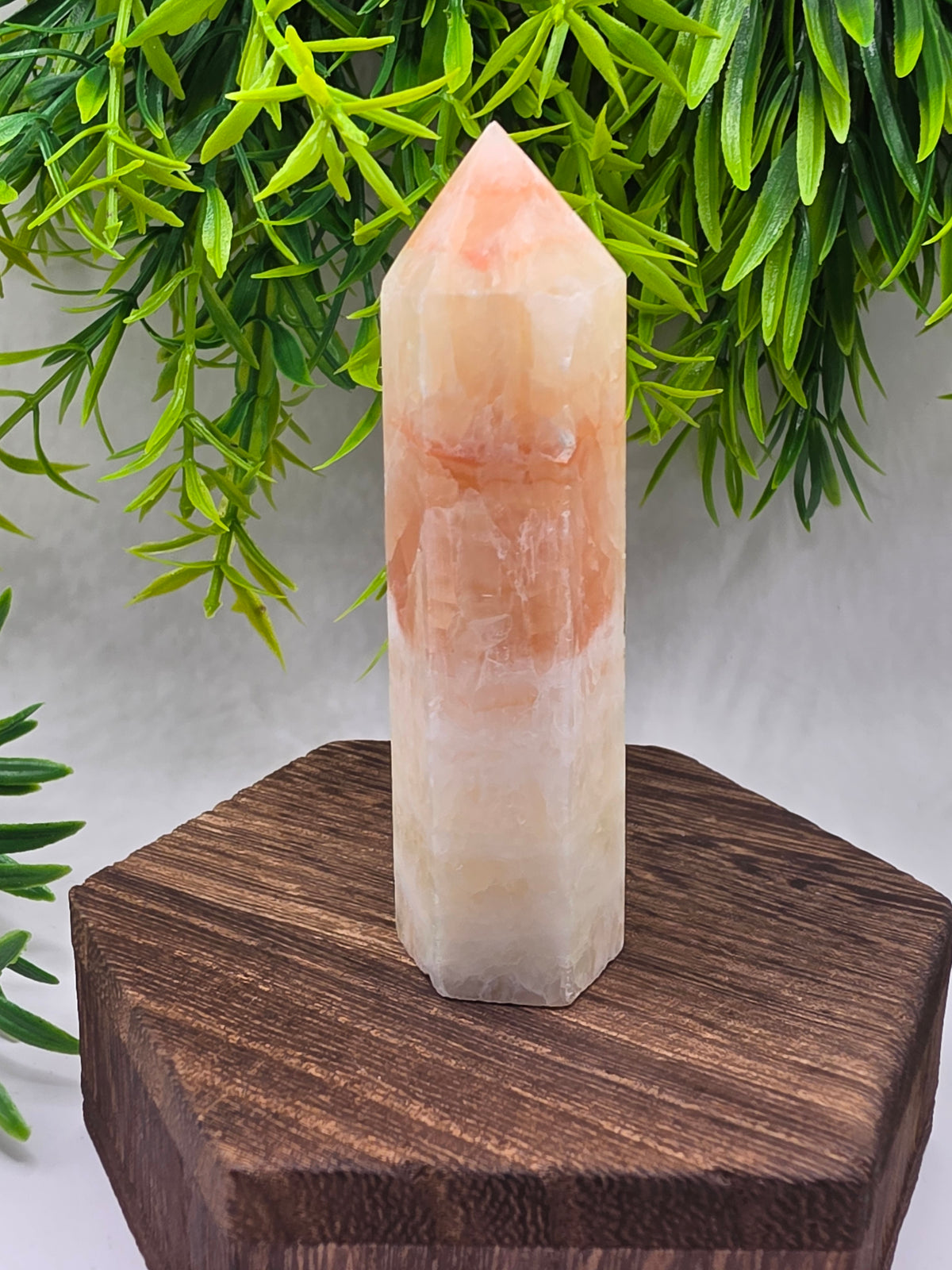 Pork Stone