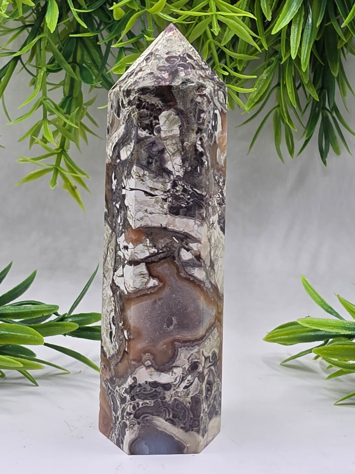 Money Agate Points
