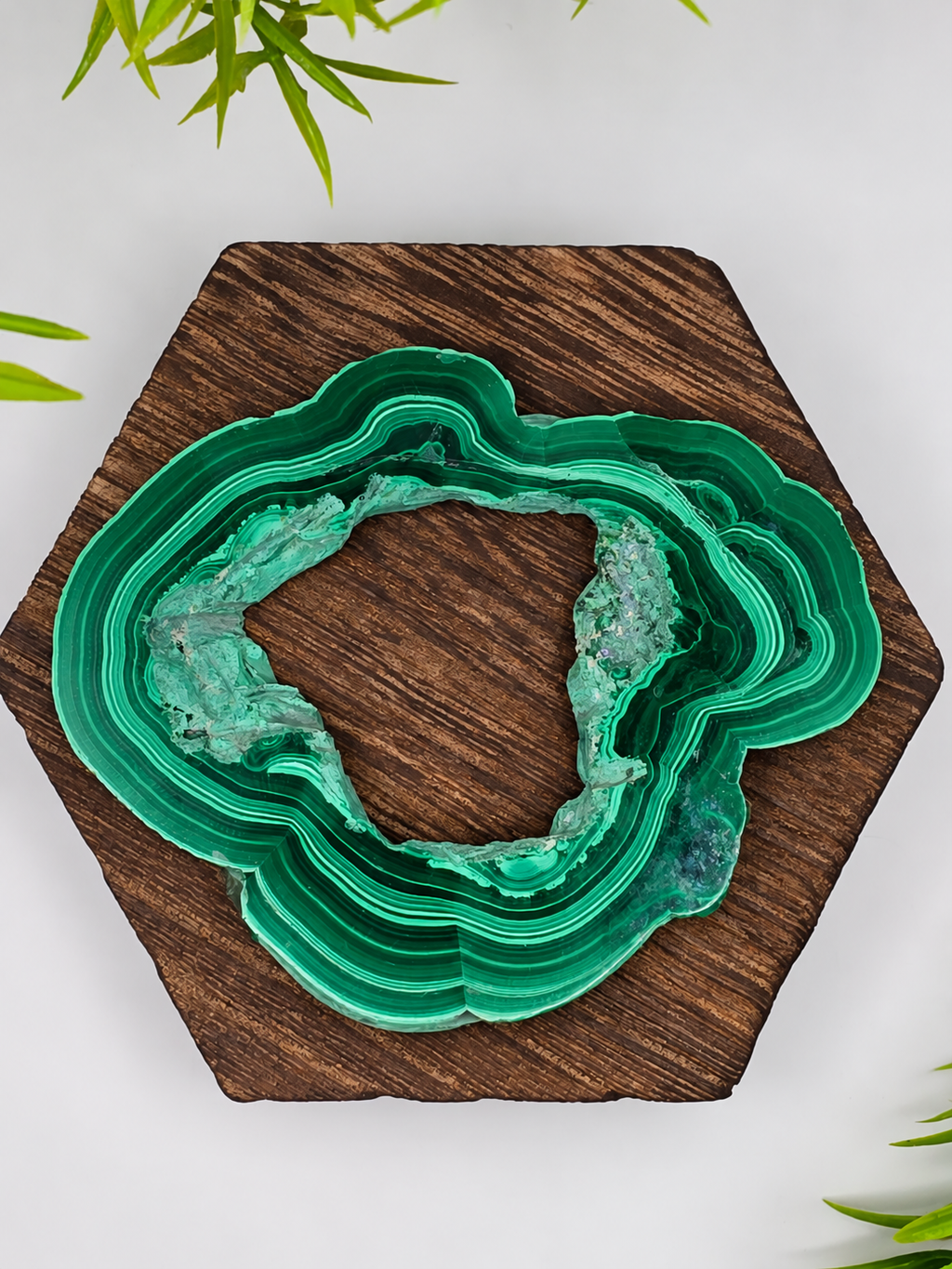 Malachite Ring Slab