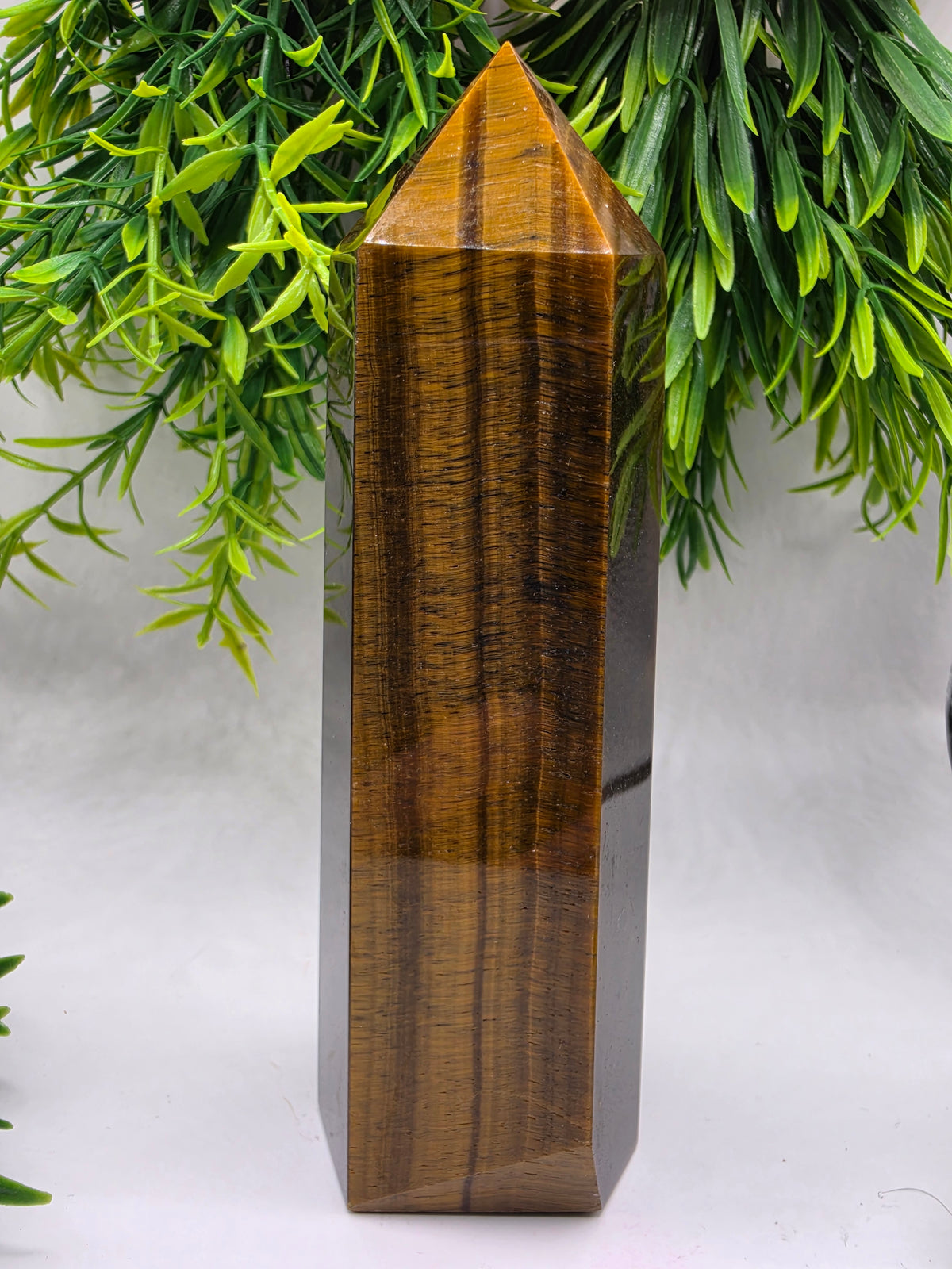 Tiger Eye Tower
