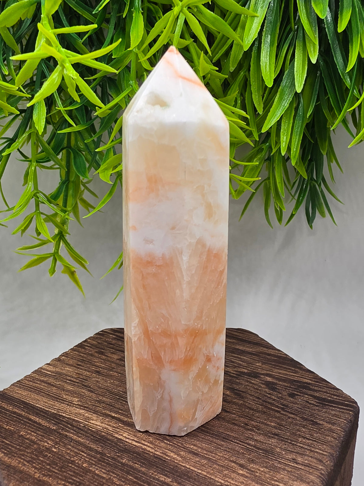 Pork Stone