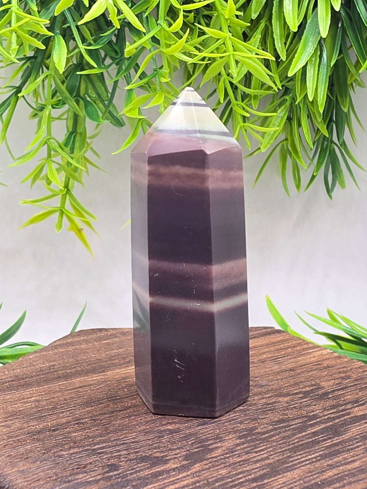 Purple Robe Jasper Points
