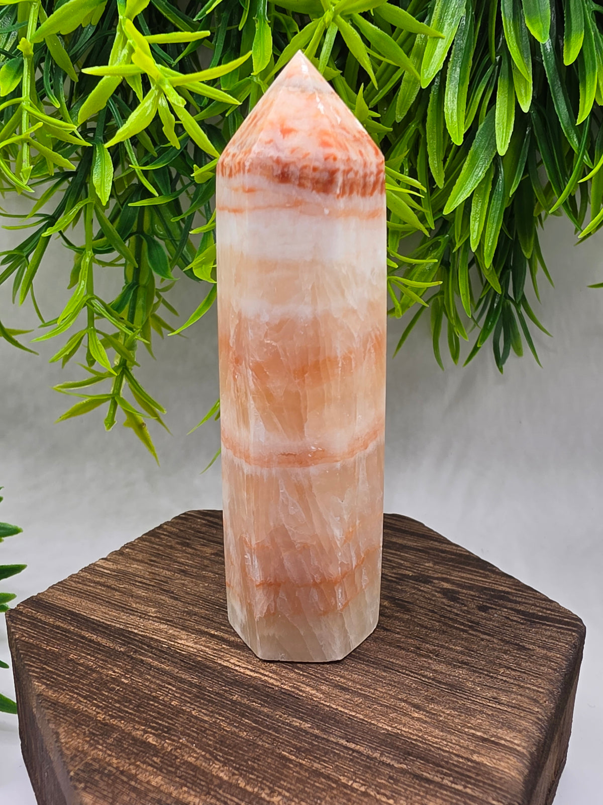 Pork Stone