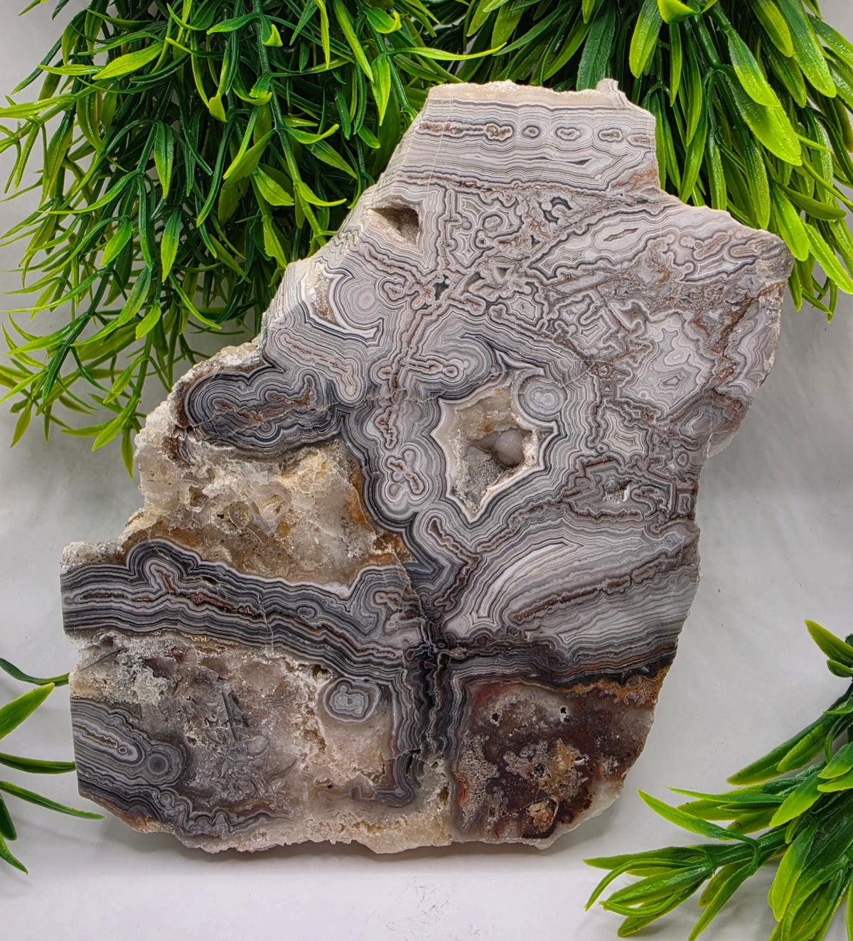 Mexican Agate Slab - A