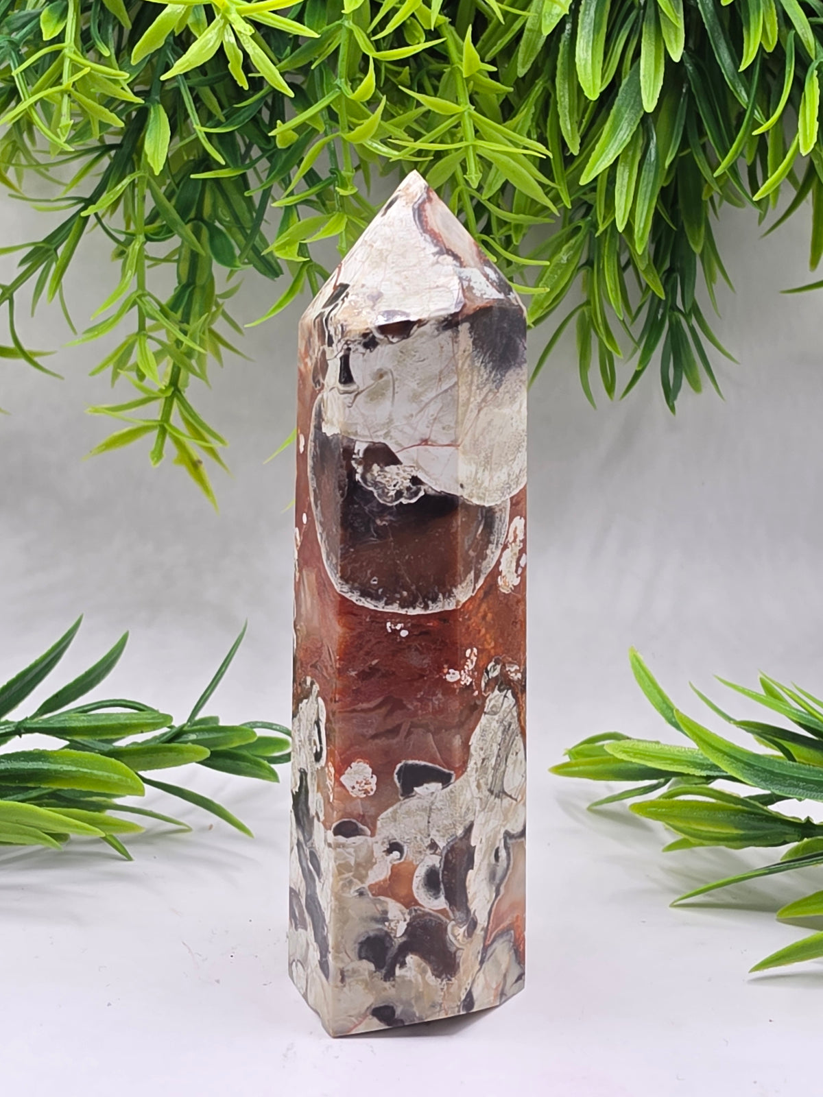Money Agate Points