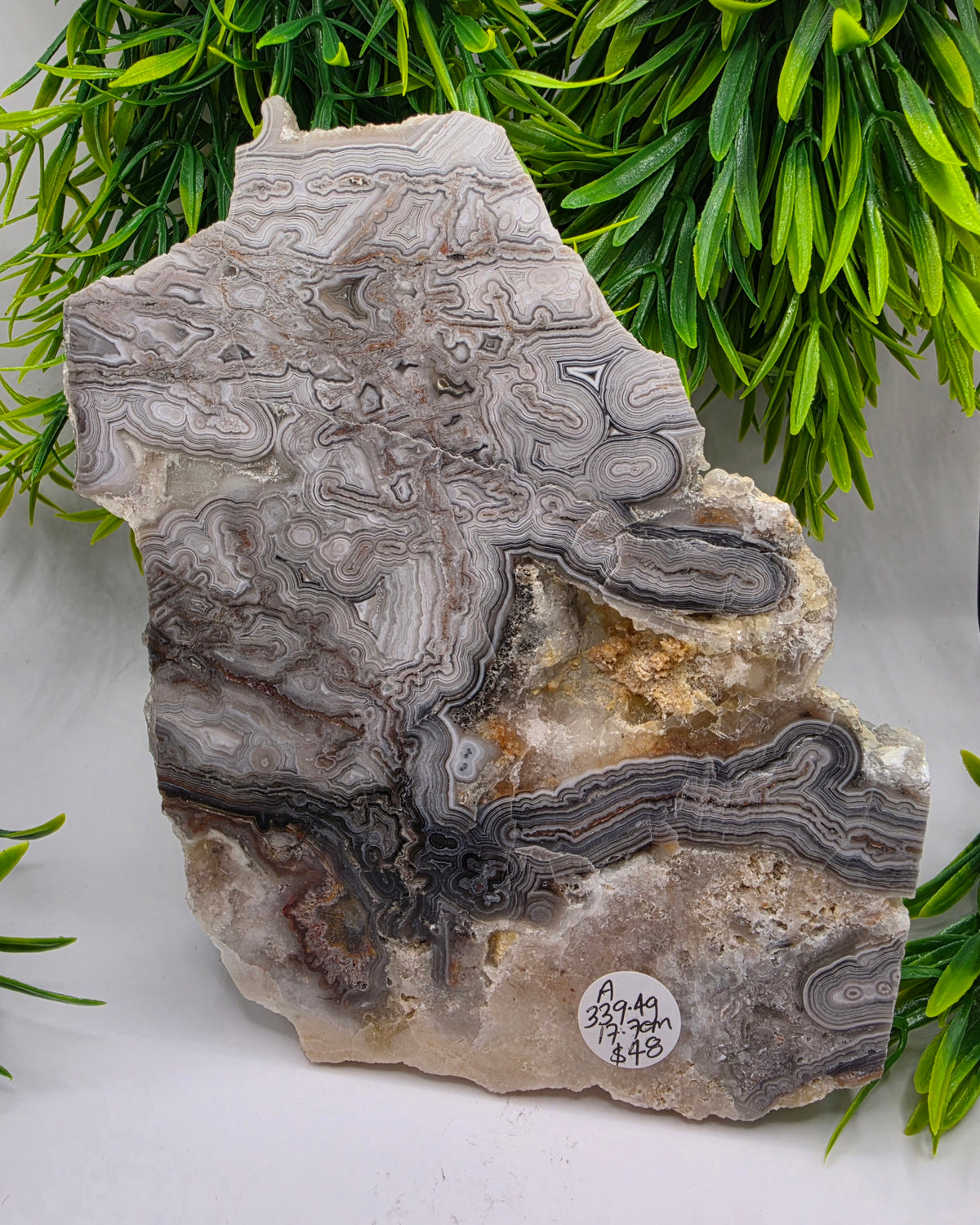 Mexican Agate Slab - A