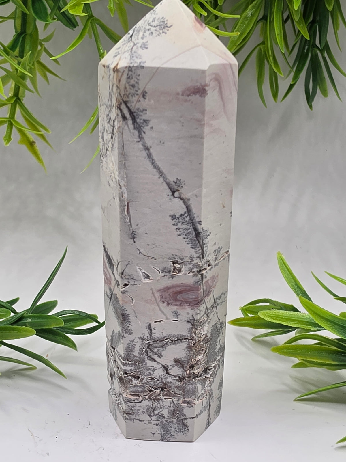 Picture Jasper
