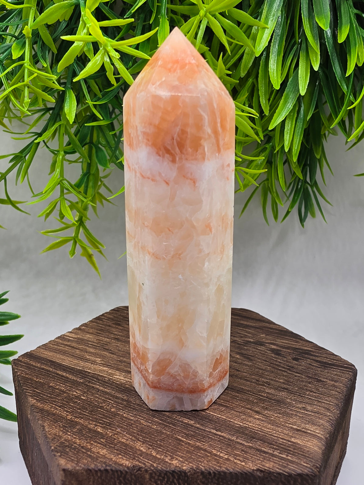 Pork Stone