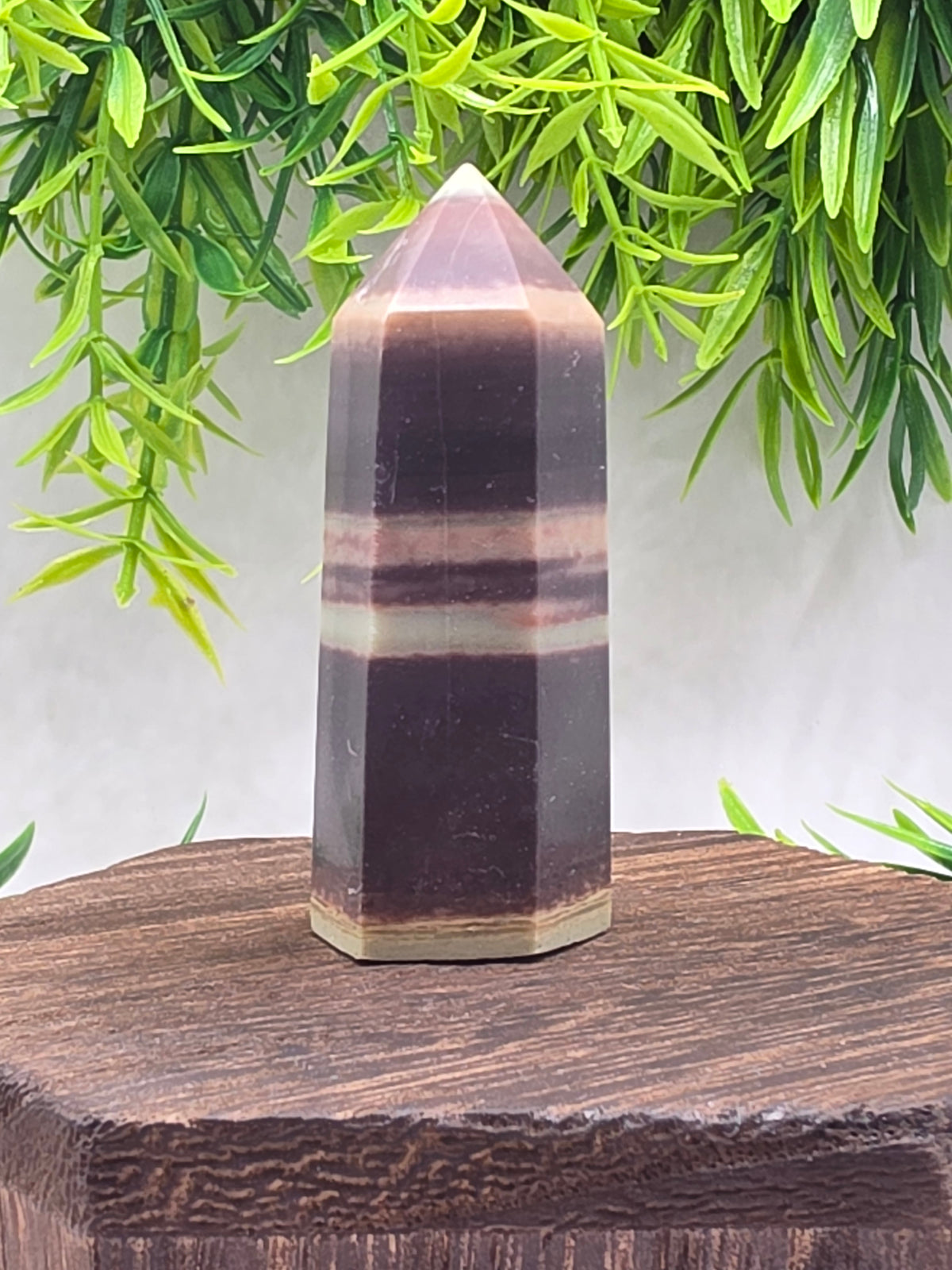 Purple Robe Jasper Points