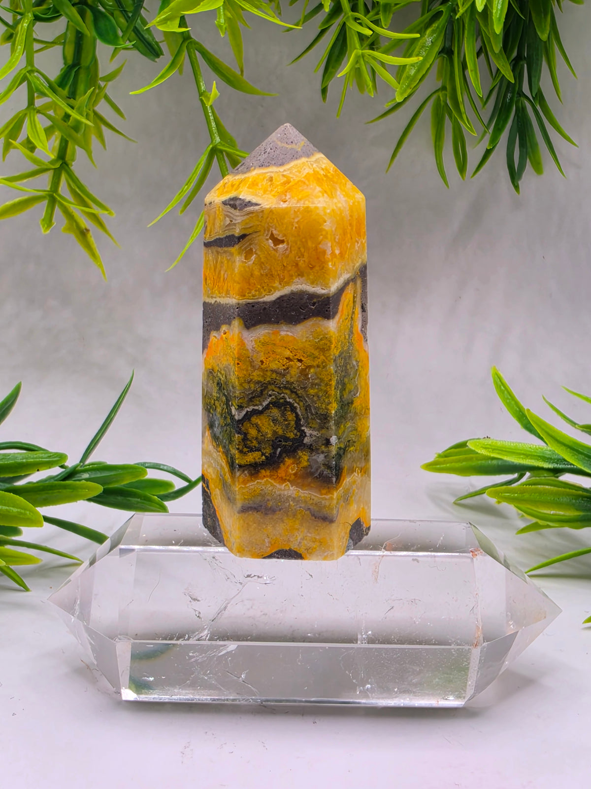 Bumblebee Jasper Points